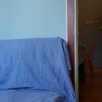 Coola * リュブリャナ