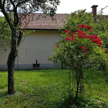 Apartmán Coola Lublaň