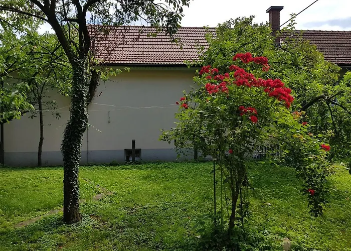 Apartment Coola Ljubljana